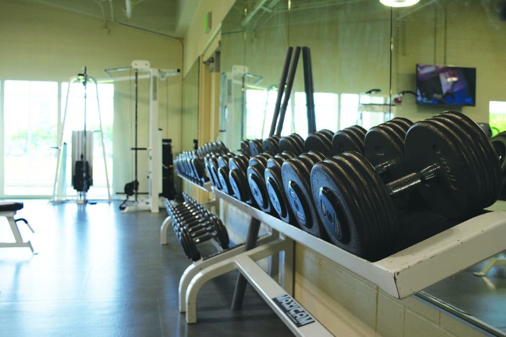 Fitness Center dumbbell rack 