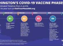 covid vaccine phases