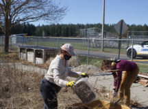 students work in sfcc garden