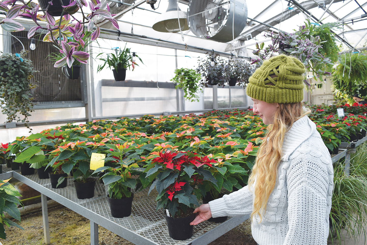 Cultivating Plant Community